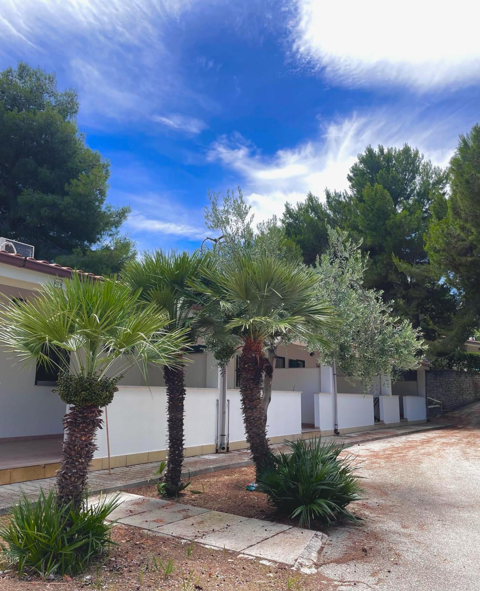 ויאסטה Villaggio La Giara מראה חיצוני תמונה
